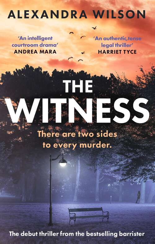 Book cover of The Witness: The most authentic, twisty legal thriller, from the barrister author of In Black and White