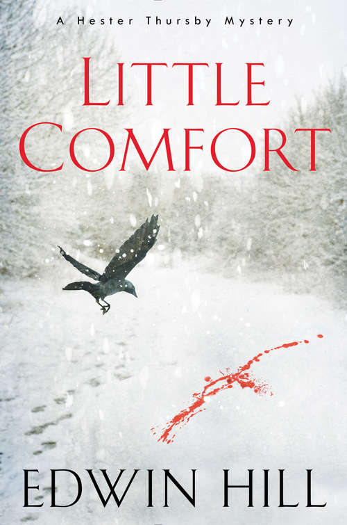 Book cover of Little Comfort (A Hester Thursby Mystery #1)