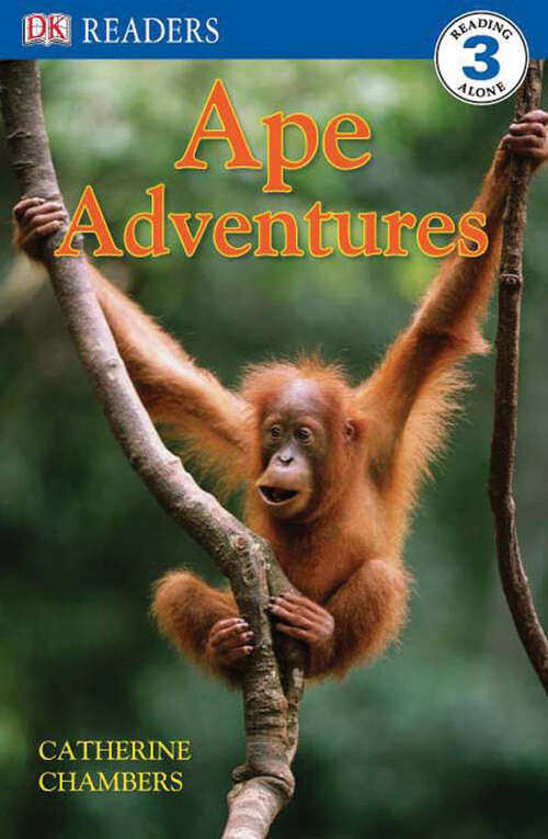 Book cover of DK Readers: Ape Adventures (DK Readers Level 3)