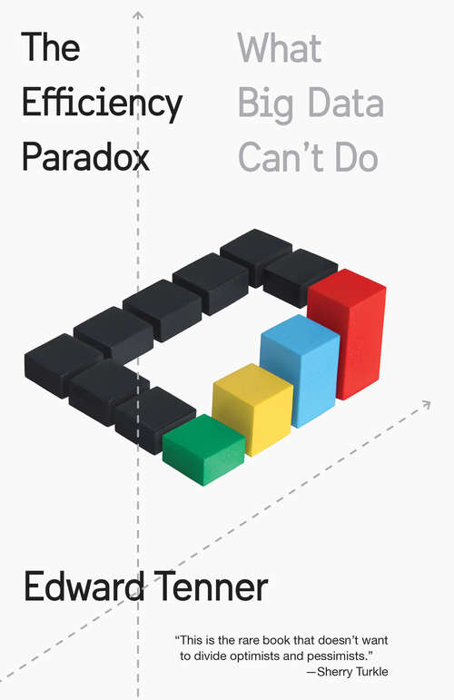 Book cover of The Efficiency Paradox: What Big Data Can't Do