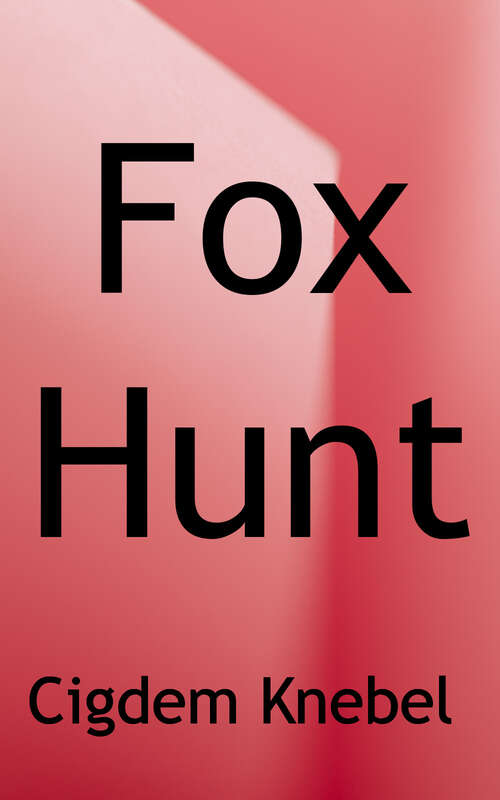 Book cover of Fox Hunt: Decodable Chapter Books for Kids with Dyslexia (The Kents Quest)