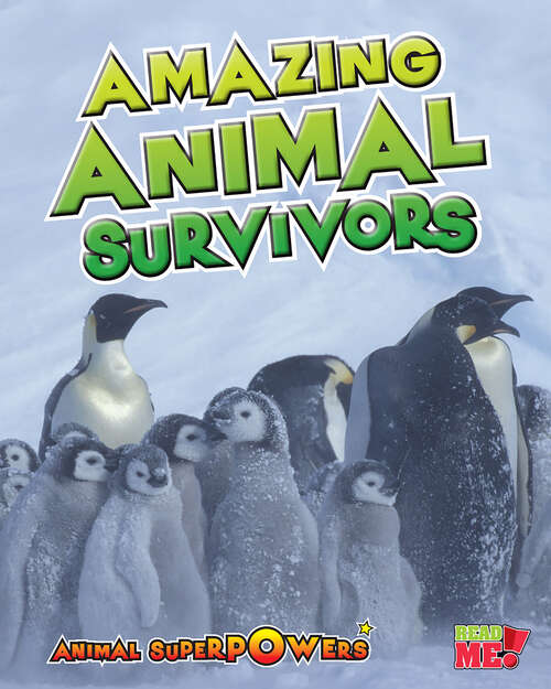 Book cover of Amazing Animal Survivors (Animal Superpowers Ser.)