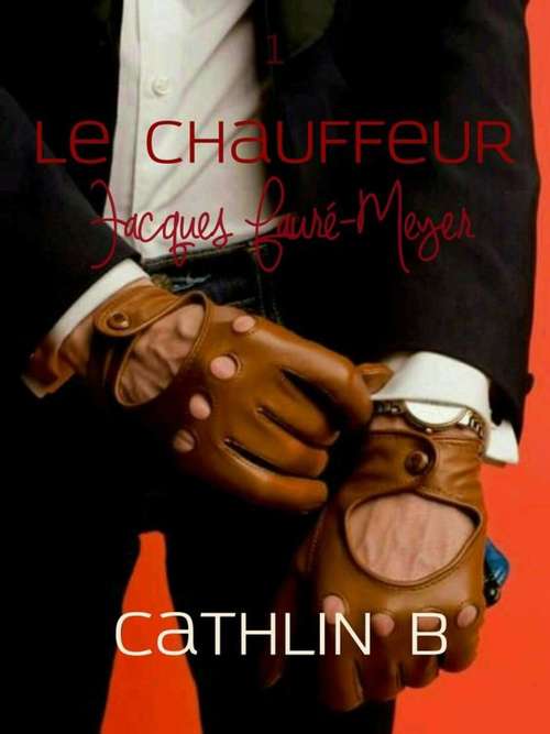 Book cover of Le Chauffeur 1 - Jacques Fauré-Meyer
