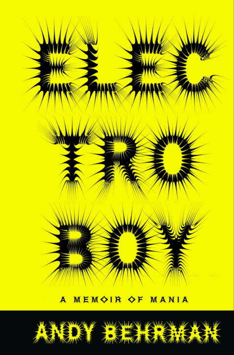 Book cover of Electroboy