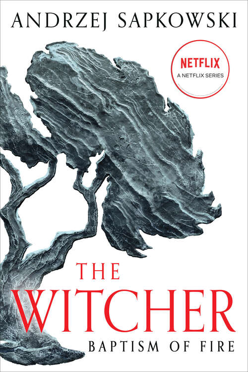 Book cover of Baptism of Fire: Witcher 5 (The Witcher #3)