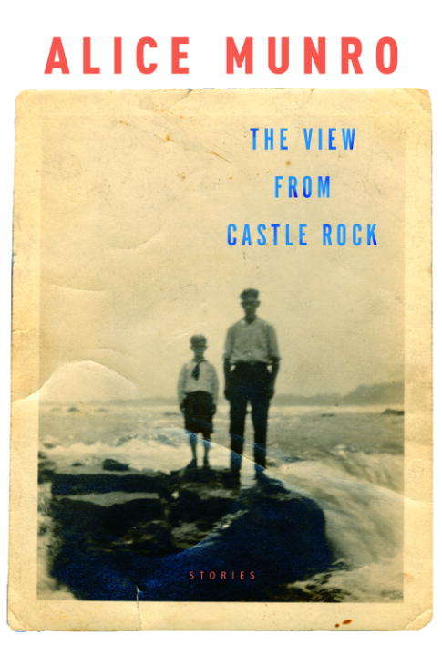 Book cover of The View from Castle Rock