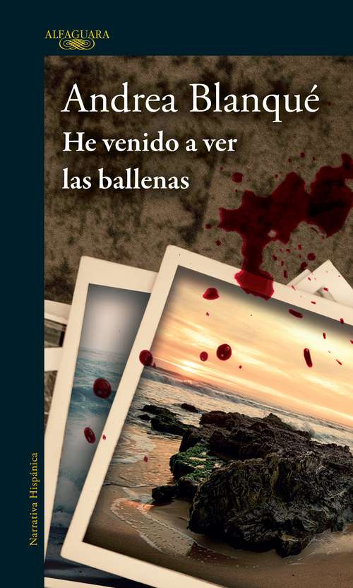 Book cover of He venido a ver las ballenas