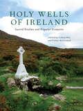 Holy Wells of Ireland: Sacred Realms and Popular Domains (Irish Culture, Memory, Place)