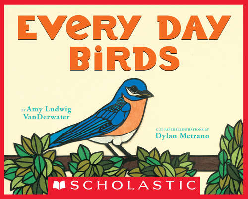 Book cover of Every Day Birds