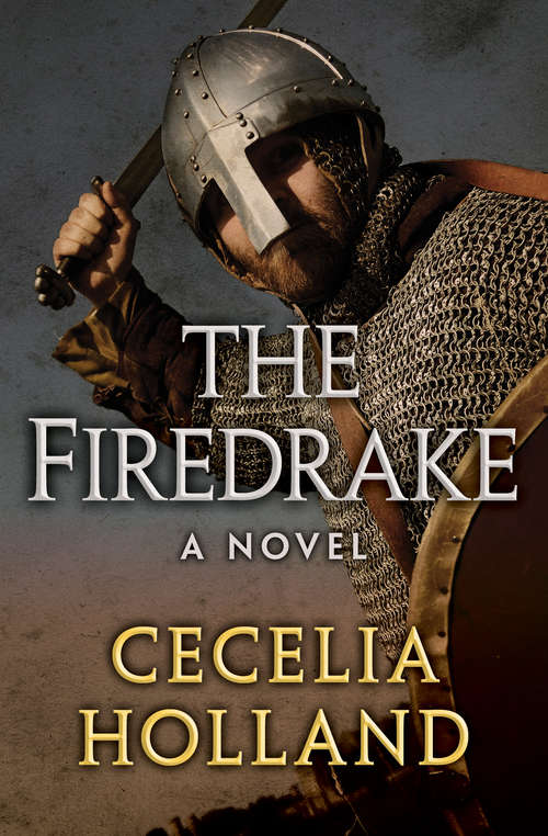 Book cover of The Firedrake