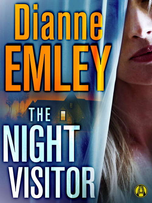 Book cover of The Night Visitor