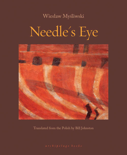 Book cover of Needle's Eye