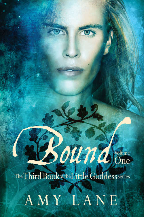 Bound, Vol. 1 (Little Goddess #4)