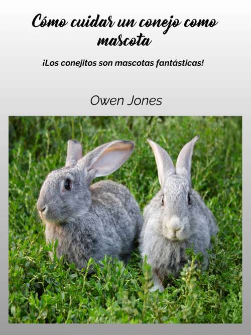 Book cover of Cómo cuidar un conejo como mascota: ¡Los conejitos son mascotas fantásticas! (Cómo... #126)