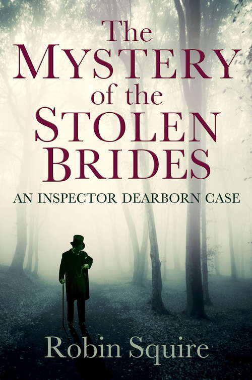 Book cover of The Mystery of the Stolen Brides