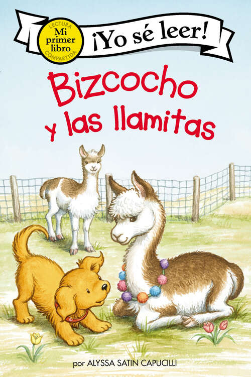 Book cover of Bizcocho y las llamitas: Biscuit and the Little Llamas (Spanish edition) (My First I Can Read)