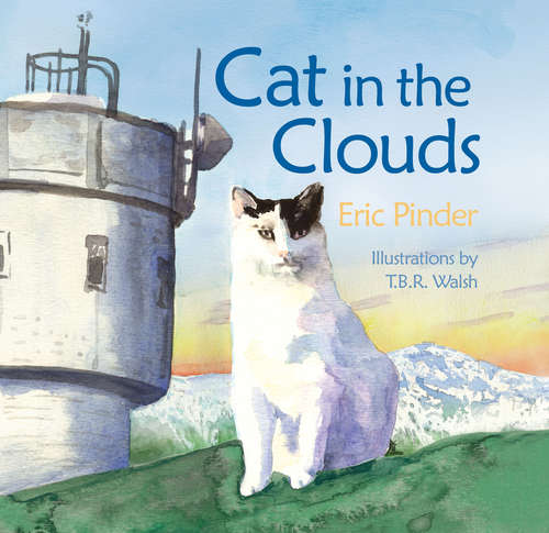 Book cover of Cat in the Clouds
