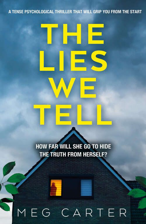 Book cover of The Lies We Tell