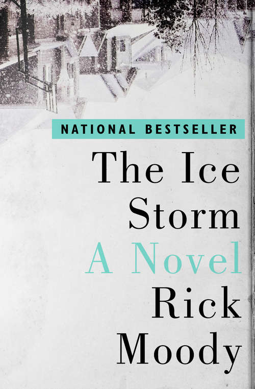 The Ice Storm: A Novel (Shooting Script Ser.)