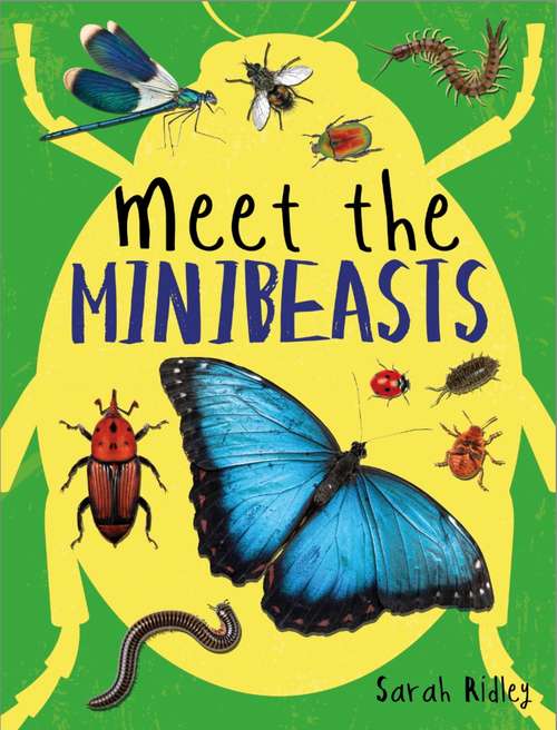 Book cover of Meet the Minibeasts