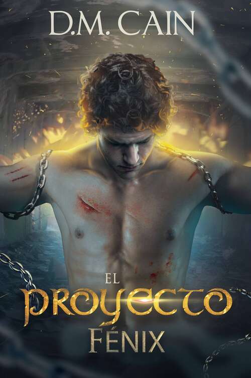 Book cover of El Proyecto Fénix
