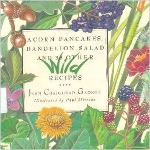 Book cover of Acorn Pancakes, Dandelion Salad, and 38 Other Wild Recipes
