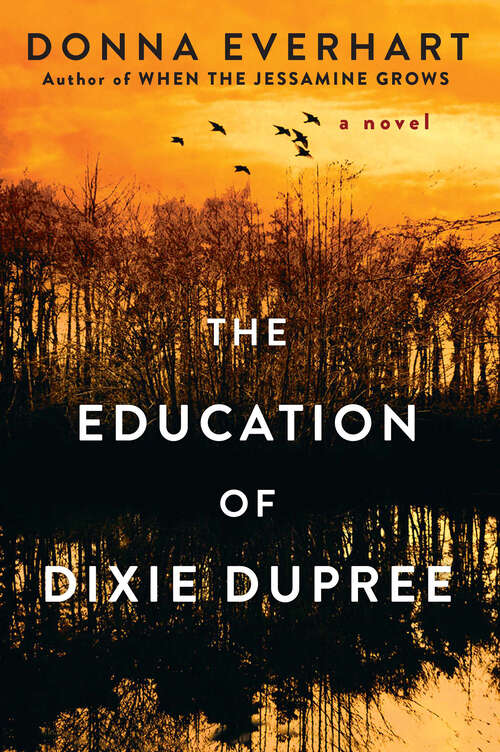 Book cover of The Education of Dixie Dupree