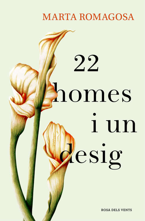 Book cover of 22 homes i un desig
