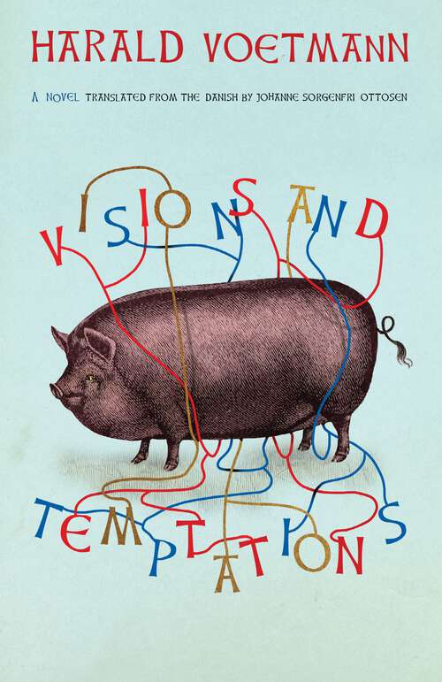 Book cover of Visions and Temptations