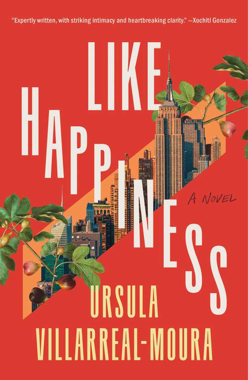 Book cover of Like Happiness: A Novel