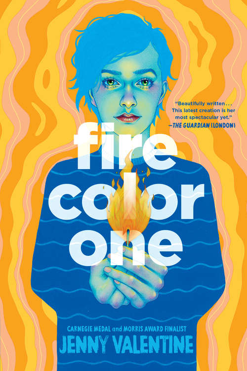 Book cover of Fire Color One