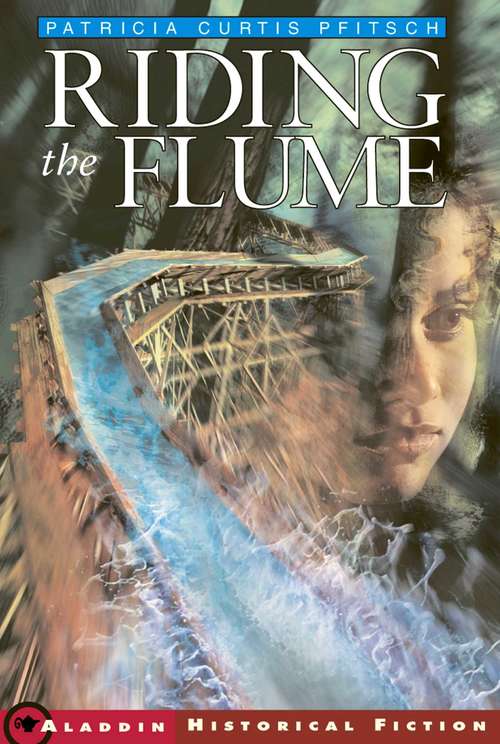 Book cover of Riding the Flume