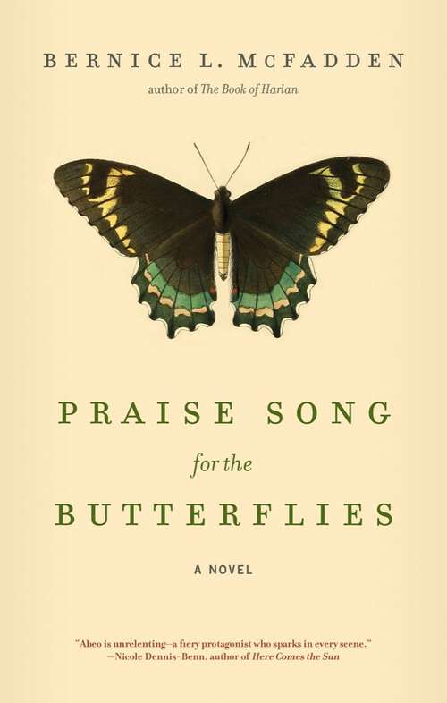 Book cover of Praise Song for the Butterflies