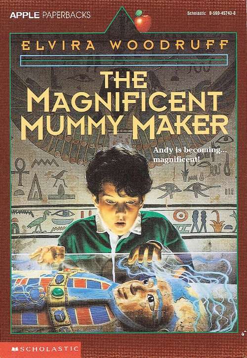 Book cover of The Magnificent Mummy Maker