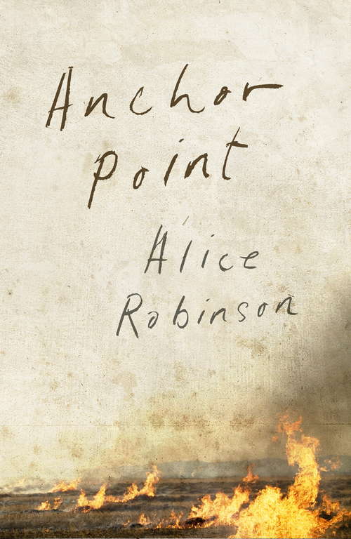 Book cover of Anchor Point