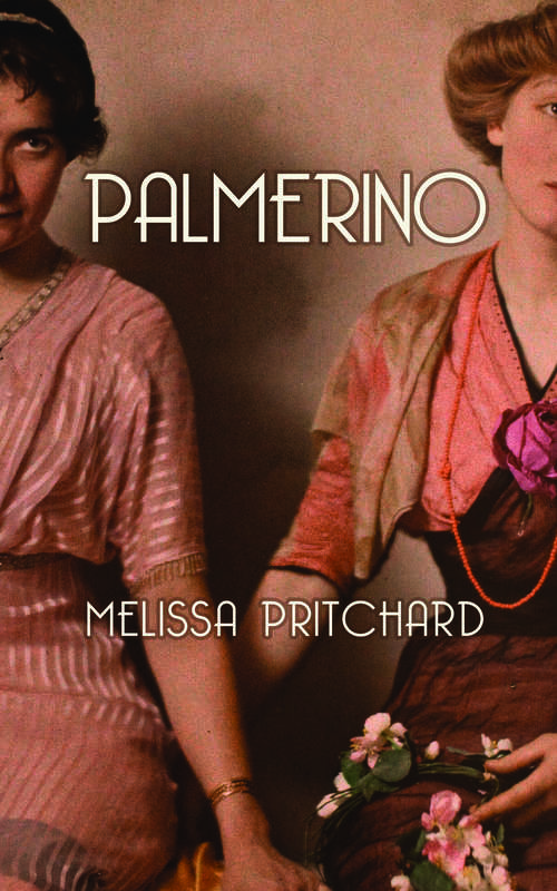Book cover of Palmerino