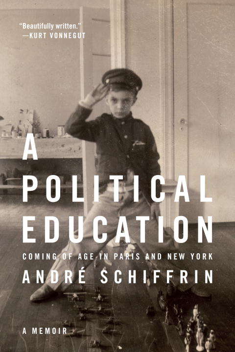 Book cover of A Political Education