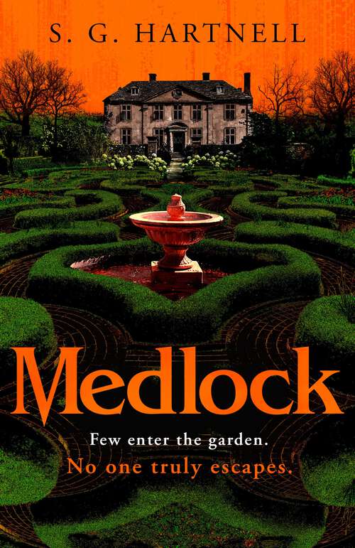 Book cover of Medlock: A chilling, atmospheric contemporary Gothic horror story - the perfect Halloween read!