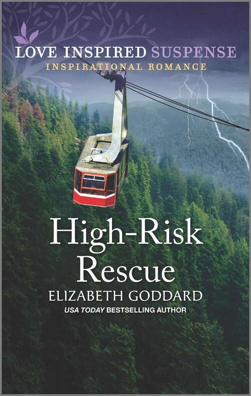 High-Risk Rescue (Honor Protection Specialists #1)