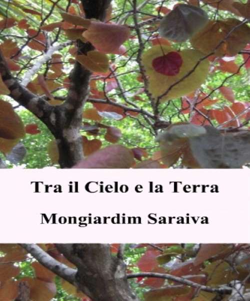 Book cover of Tra il Cielo e la Terra