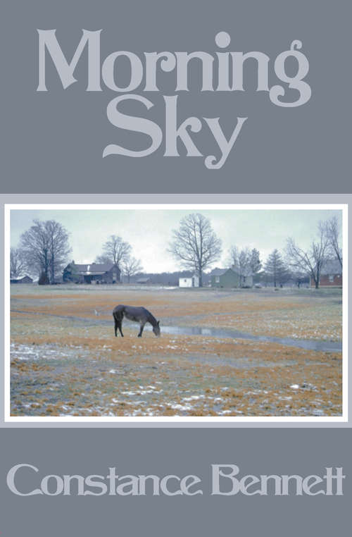 Book cover of Morning Sky
