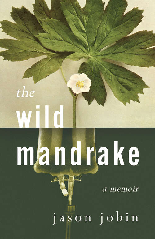 Book cover of The Wild Mandrake: A Memoir