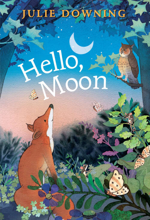 Book cover of Hello, Moon