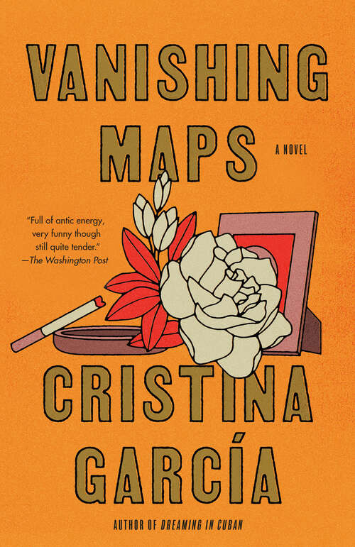 Book cover of Vanishing Maps: A novel