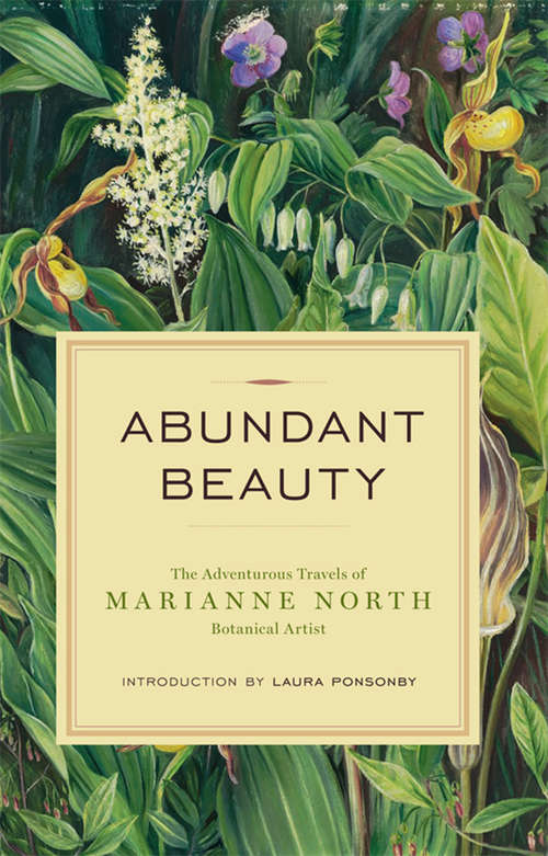 Book cover of Abundant Beauty