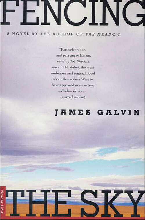 Book cover of Fencing the Sky: A Novel