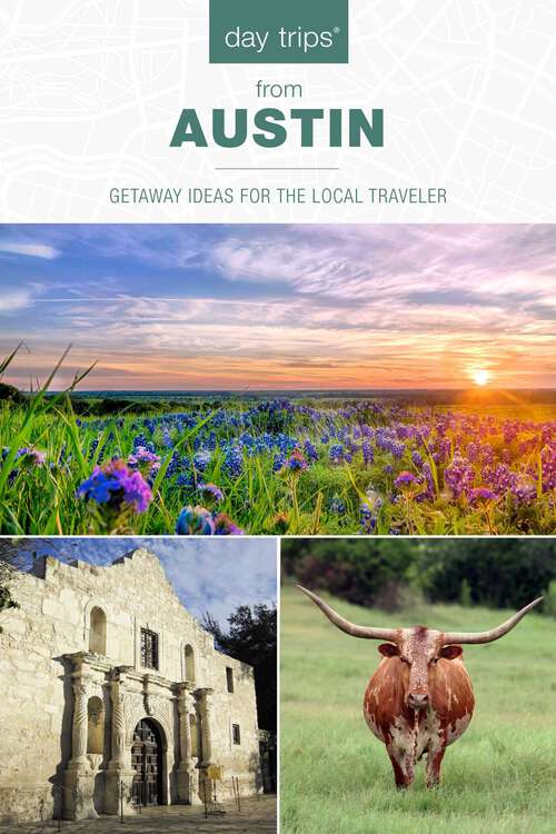 Book cover of Day Trips® from Austin: Getaway Ideas for the Local Traveler (8th Edition) (Day Trips Series)