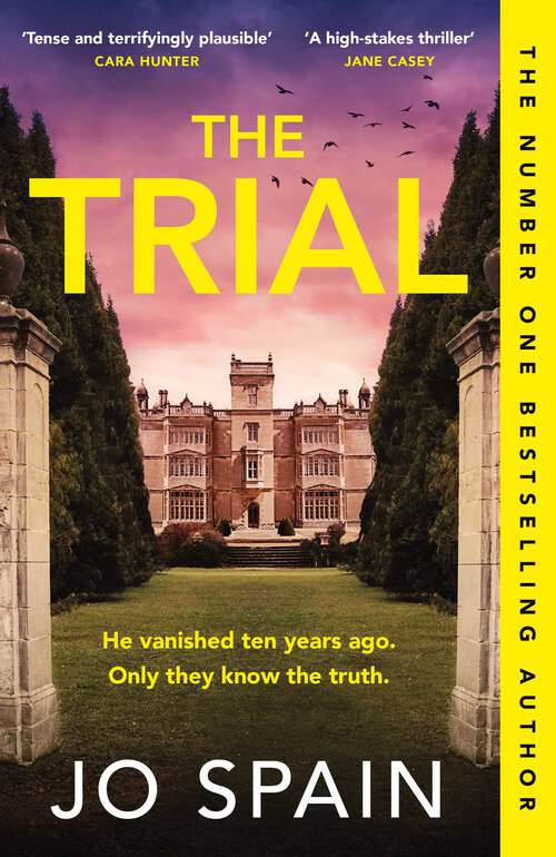 Book cover of The Trial: the new gripping page-turner from the author of THE PERFECT LIE