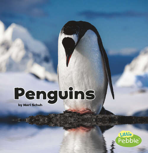 Book cover of Penguins (Black And White Animals Ser.)