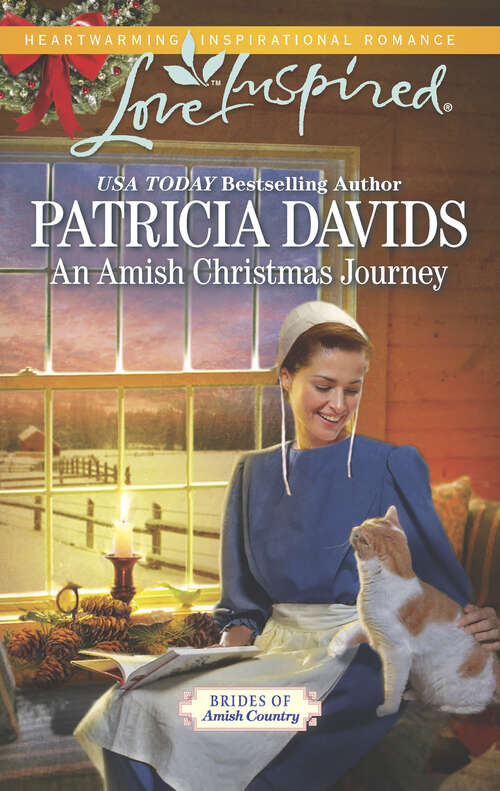 Book cover of An Amish Christmas Journey